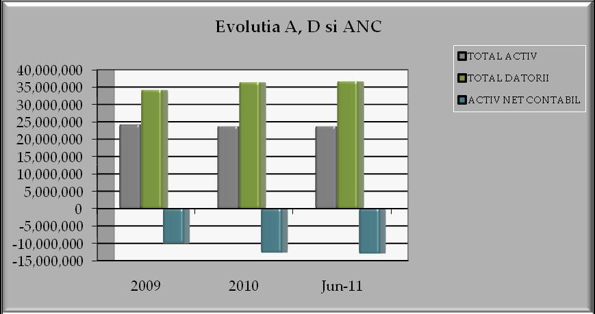 Elementele de natura activelor au o evoluţie ușor în scădere în intervalul 2009 iunie 2011, datorată creşterii activelor imobilizate.