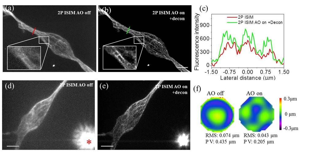 Supplementary Figure 9 Fiducial-based AO correction improves 2P ISIM imaging of microtubule bundles in fixed cells embedded in a 3D matrix, at depths exceeding 200 µm from the coverslip surface.