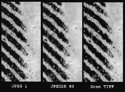 Figure 3 compares the image of a portion of a fingerprint scanned using TIFF format and uncompressed (right), the image compressed using JPEG2000 at 80:1 (center), and the image compressed with JPEG