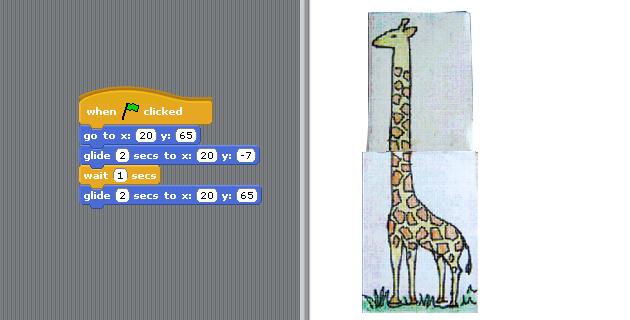 Here is an example of how a Giraffe s neck and head disappear and appear using a Match box.