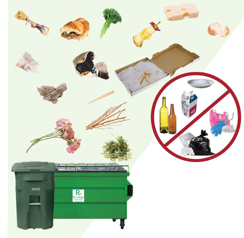 THE RECOLOGY RESOURCE COMPOST WHAT CAN I COMPOST? You can place food scraps, soiled paper, and plant trimmings in your compost bin.