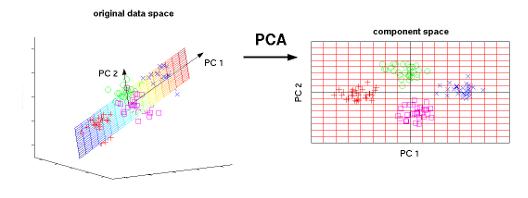 PCA Versus LDA in Implementing of Neural Classifiers for Face Recognition Practical experience shows that the most important aspect for the recognition of forms is the selection characteristics /