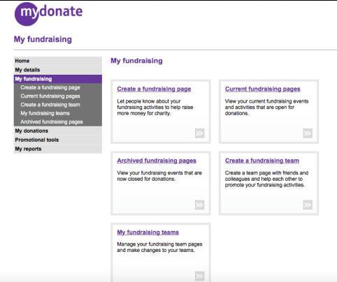 Online Fundraising: Team fundraising pages Once you have set up your own fundraising page the project coordinator or treasurer should also set up a team fundraising page.