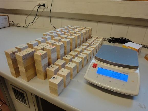 Figure 6. Samples used to determine moisture content and density of the CLT panels.