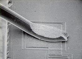 thickness [µm] Ball bonding (±