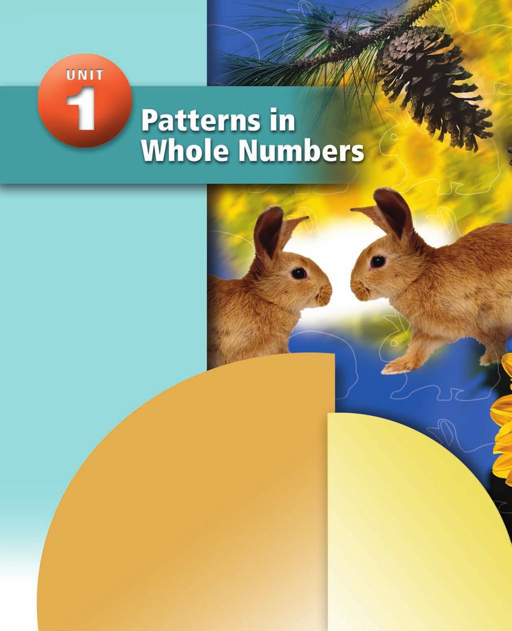 There are many patterns you can see in nature. You can use numbers to describe many of these patterns. At the end of this unit, you will investigate a famous set of numbers, the Fibonacci Numbers.
