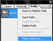 Path Tool: The path tool can be used to create selections. Select the tool in the Toolbox and set the option as below. The tool creates nodes around the perimeter of the object.