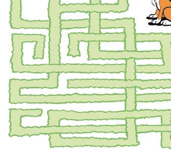 A-MAZE-ING Help the prey to live another day, by avoiding the pekish