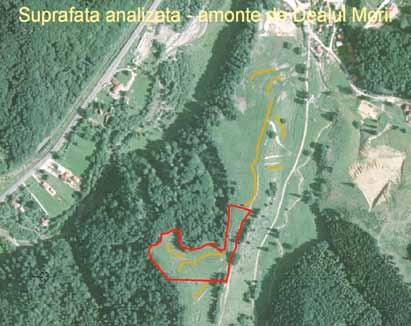 3 Imagine de ansamblu cu suprafaţa destinată PUZ şi prezenţa drumurilor tehnologice de exploatare forestieră drumuri tehnologice exploatare forestieră perimetru PUD Suprafaţa analizată este o pajişte