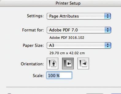 This dialog box allows you to set up the printer that you are using.