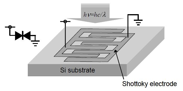 Structure of MSM Photodetector