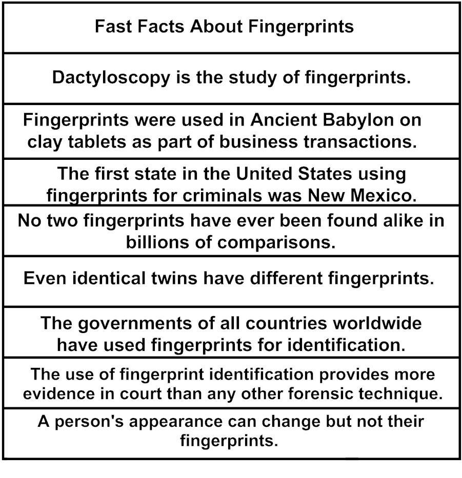 Cut these strips and place them in your Fast Facts about Fingerprints pocket on panel one of