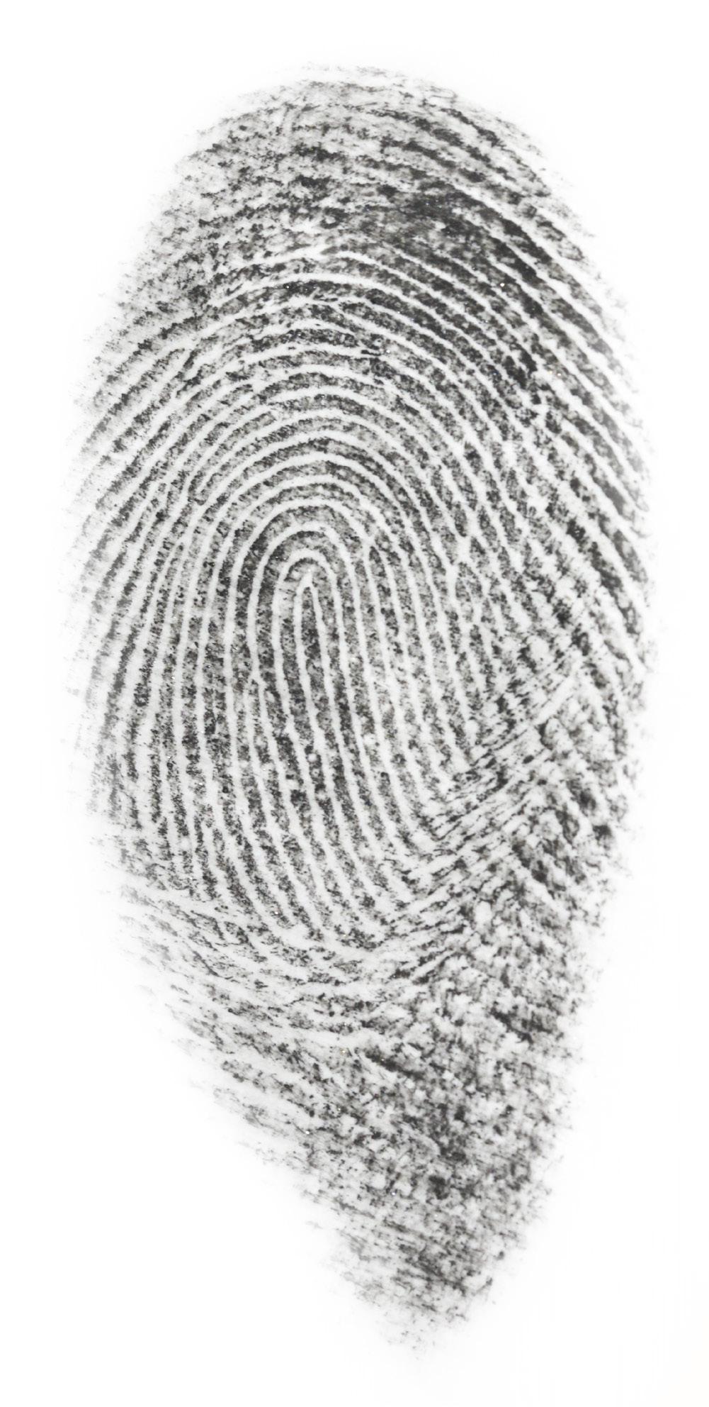 Pattern Types Fingerprints are found not only on your hands and fingers but also on your toes and feet.