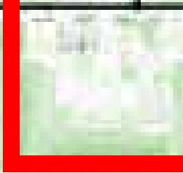 Figure 9: Underneath the opaque pixels of image 5, there are more grey and green pixels.
