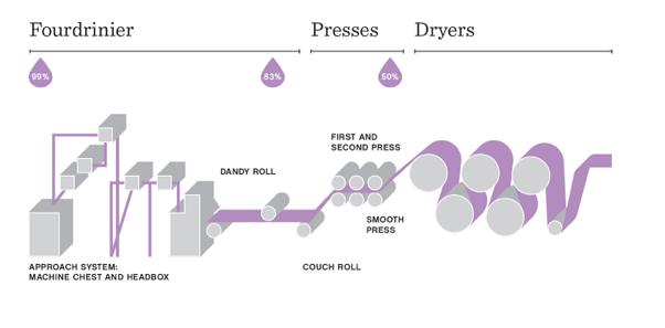 The Papermaking Process Sappi