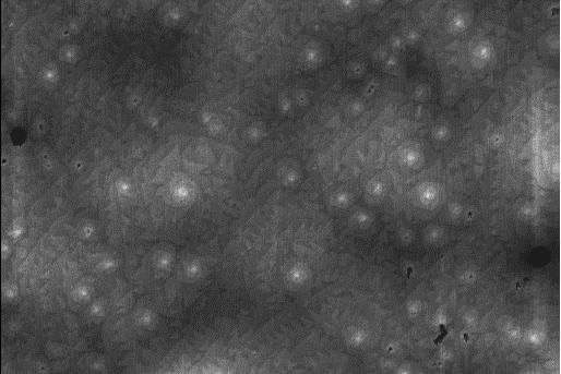 Atomic Force Microscopy of