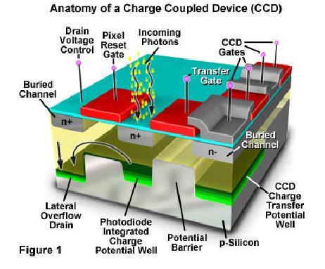 Light Sensor Charge-Coupled Device (CCD) matrix of photodiodes on silicon converting photons into electrical charges charge proportional to the light collection of charges in a pool