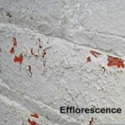 Paint Efflorescence Symptoms: Efflorescence A problem of painted masonry construction, efflorescence is identifiable by crusty white salt deposits that bubble through the paint film from a masonry