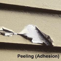 Peeling Paint Due to Poor Adhesion Symptoms: Peeling Paint Due to Poor Adhesion Peeling paint is a very common paint problem but can be caused either by moisture or poor adhesion.