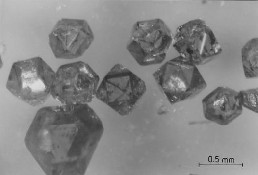 tests on glass, and in some cases even worse. Figure 6 shows details of a single diamond track in quartz, at two different magnifications.