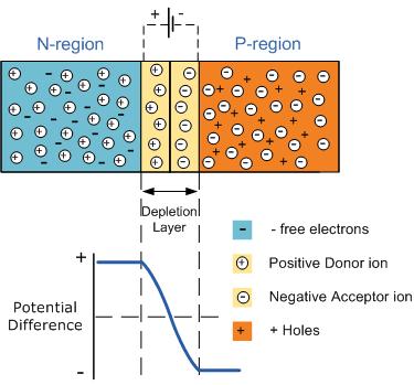 The PN Characteristics Electrons diffuse from the n-region junction to the p-region junction