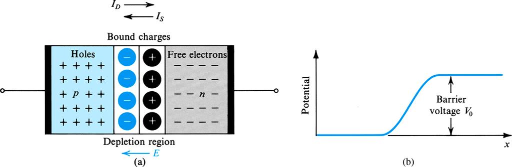 The Diode The diode operates in three modes No Bias Mode Forward Bias Mode When no external voltage is applied to the terminals When the terminals are connected such that the positive terminal is