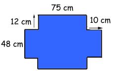 10. The perimeter of this shape, in