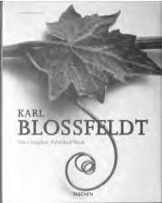Karl Blossfeldt has done his part in that great examination of the perceptive inventory, which will have an unforeseeable effect on our conception of the world.