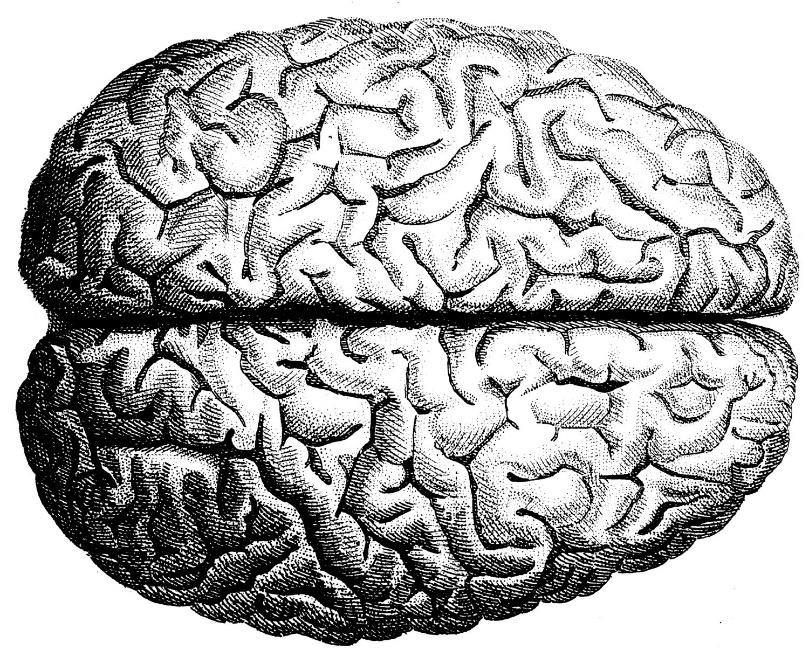 Încă ceva Când citim cod creierul nostru joacă rol de compilator Conform studiilor