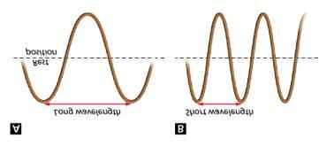 5. In the diagram, which wave has a greater frequency? 6. How is wavelength measured in a transverse wave? 7. How is wavelength measured in a longitudinal wave? 8.