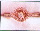 1832 A diamond set cluster ring consisting of 4 old 8 cut diamonds, measuring 2mm diameter, carre set to an open work platinum fronted kite shaped cluster head, kite shaped platinum fronted