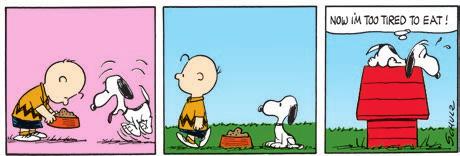 3] BEFORE READING 1. Take students on a quick book walk through Snoopy: Party Animal without reading the dialogue.
