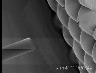 4, SEM image for the fiber coupler (A) fiber coupler (B) surface profile of the out-ofplane microlens array (C) cascaded fixing grooves of the