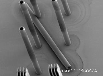 (A) 1150μm high micro tubes with 6μm wide sidewall tube and the mouth of the