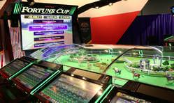development Fortune Cup Gaming Machine North America Jan