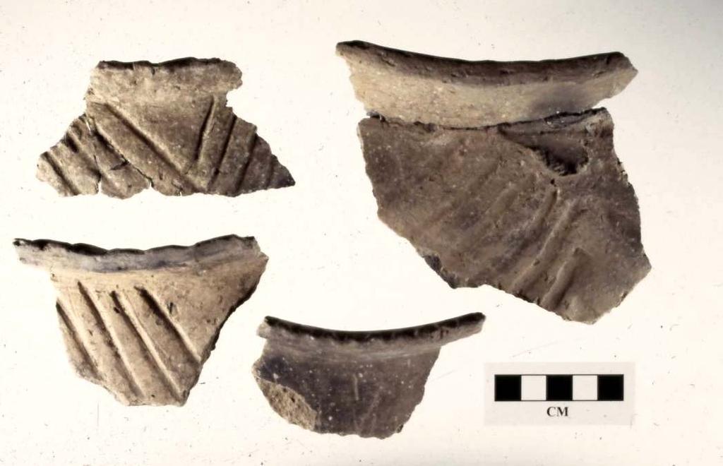Figure 2-4: Oneota-like designs on Caborn-Welborn ceramics
