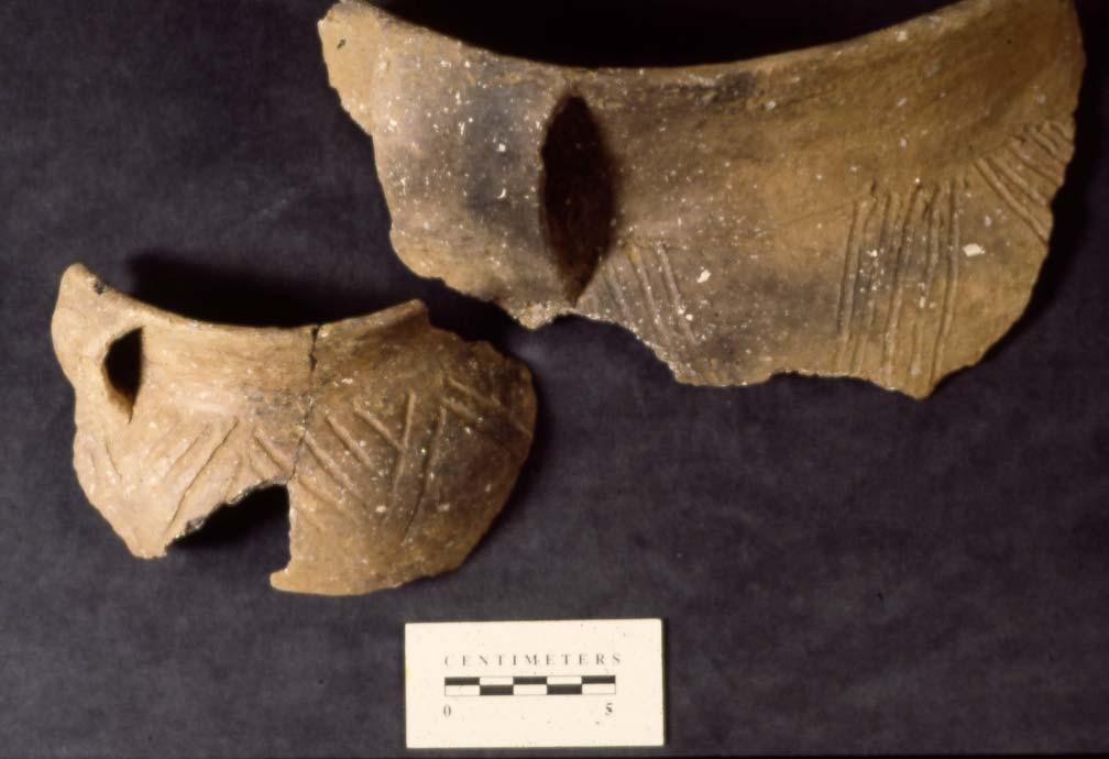 Figure 2-6: Caborn-Welborn Decorated Jar fragment
