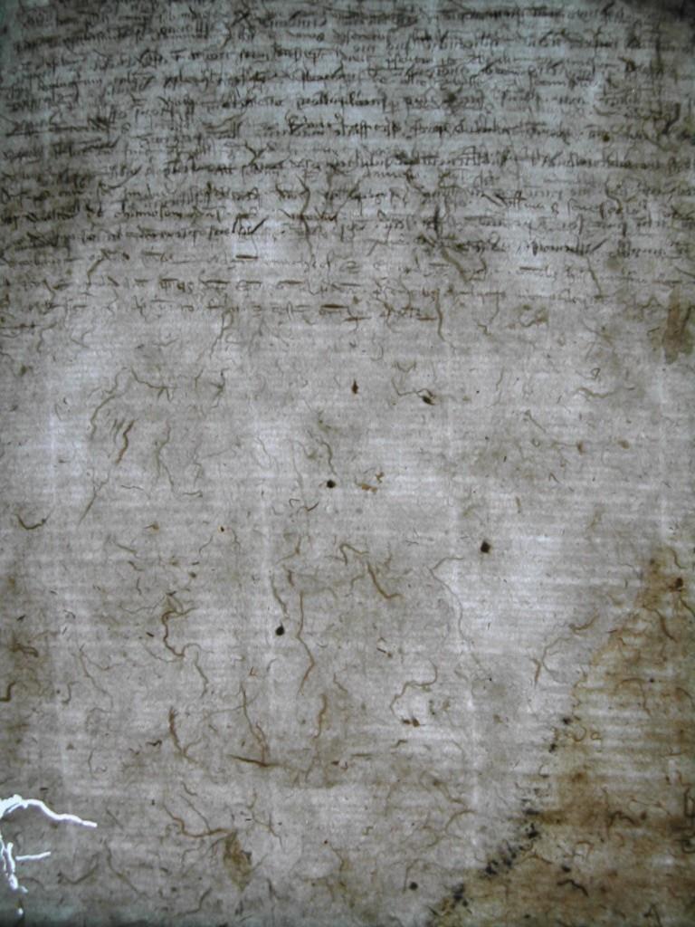 The Sion Minutes Paper grade 2, 1280: The reed ribs are slightly curved