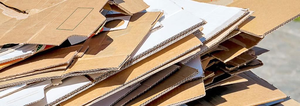 Activity Pages Paper Recycling: Keep It Clean! Paper is one of the recycling industry s biggest success stories.