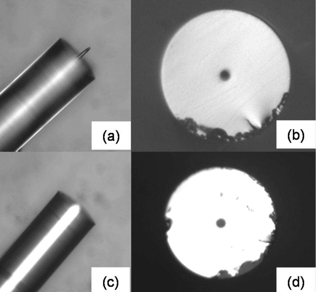 Micrographic images of the SMF afterwards confirm that the polymer tip has been removed and the fiber core is exposed again, as shown in Figs. 6(c) and 6(d). B. Fig. 5.