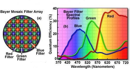 Colorimetry for Cameras and Scanners Sensor Filters - they are not equivalent to either the human eye or the CIE XYZ color matching functions Figure from http://csanet.