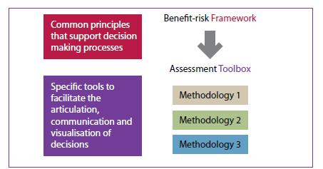 Background to the Workshop A survey undertaken by CIRS in 2011 identified the biggest barrier to implementing a formal benefit-risk framework within companies and agencies as the lack of a