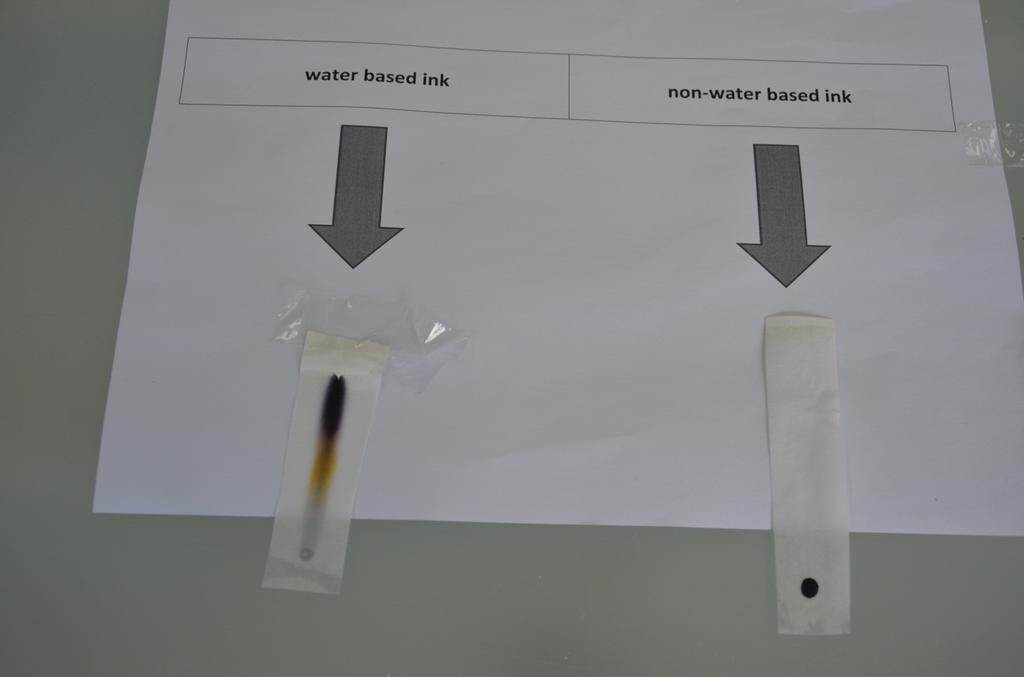 Photo 3: The end product Questions 1. Why do objects appear black? 2. Propose a reason why water based inks have been around longer than non-water based inks. 3. Use the photos of the experiment to summarise the principles of chromatography.