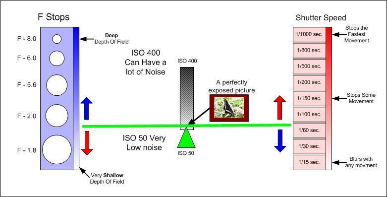 Choosing and 3 Most digital cameras have the ability to adjust the ISO setting in the same way.