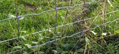 10 Agriculture, Rail, Highways Estate 2Life High tensile stock fencing Hinge joint field fence manufactured with 2Life wire which lasts two times longer than heavily galvanised wire.