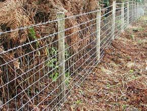 12 Forestry, Agriculture, Temporary fencing, Pipelines Estate 2Life Light high tensile stock fencing Hinge joint field fence manufactured with 2Life wire which lasts two times longer than heavily