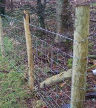 Coating 2Life lasts two times longer than heavily galvanised wire BS EN 10244-2 Class A. A centreless core to provide snag free, easily rolled out fence where all of the roll can be used.