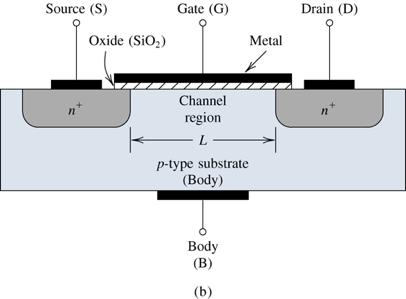 (gate, source, drain) Additional body (or