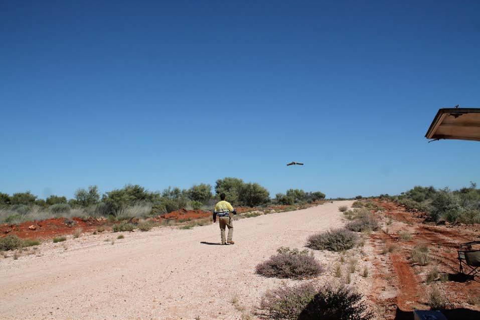 Corridor mapping in rmotst Australia Scop: provid an arial survy of a 400m wid corridor along th 250km Talawana Accss Track (Wstrn Australia) Dlivrabls;