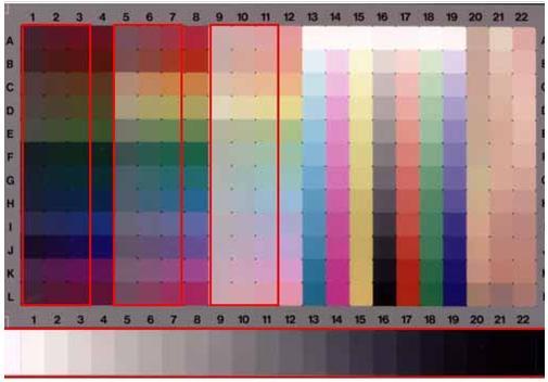 For each specific hue angle and luminance level, there are four different chroma values.